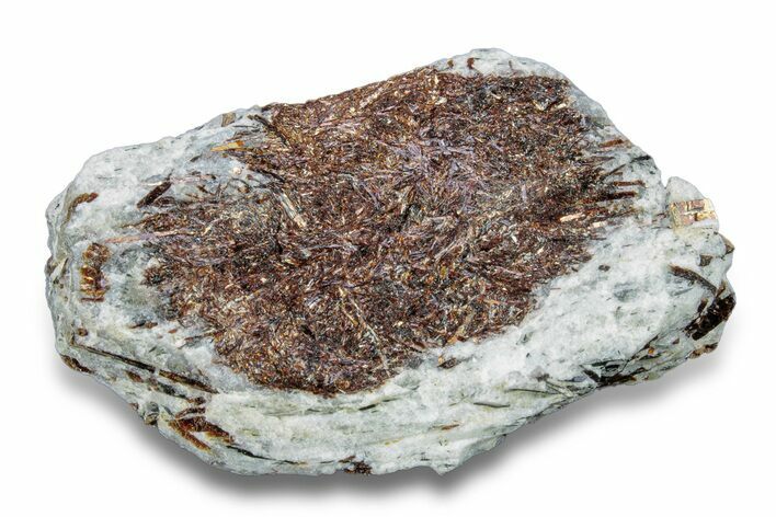Golden-Brown, Radiating Astrophyllite - Kola Peninsula, Russia #255090